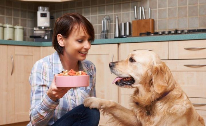 The Best Ways to Make Your Dog’s Meals More Nutritious